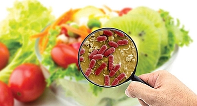 Sıcaklarda 'gıda zehirlenmesi' vakalarına dikkat! 