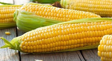 Sokak satıcılarının sattığı mısırlar meğer bu yüzden lezzetliymiş! Sırrı öğrenin