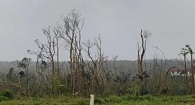 Süper Tayfun Mawar, Guam’ı vurdu: El değmemiş ormandaki ağaçlar kürdana döndü