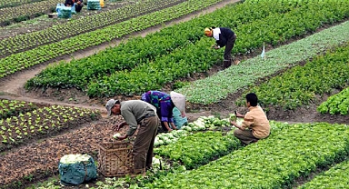 Sürdürülebilir tarımın kalbi iyi tarım uygulamaları 