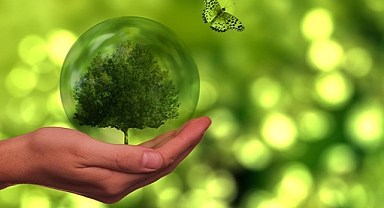 Sürdürülebilirlik Adımları Derneği, Samsun'da 