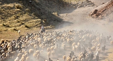 Sürülerin tozlu göç yolculuğu başladı 