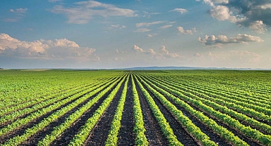 TAGEM bu yıl 42 tarla bitkisi çeşidini tescil ettirdi