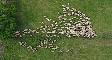 TAGEM yılda 80'den fazla projeyle çiftçinin hizmetinde 