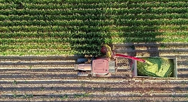 Tahıllar ve diğer bitkisel ürünlerle sebze ve meyve üretiminin 2023'te artacağı tahmin edildi