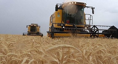 Tarım ÜFE nisanda aylık bazda yüzde 2,32 azalırken yıllık yüzde 71,52 arttı 