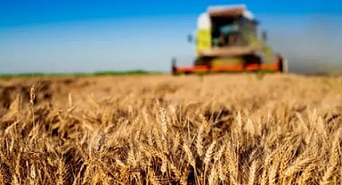 Tarımda ihracat rekoru