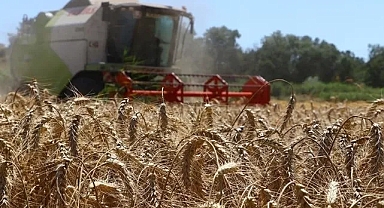 Tarımsal destekleme ödemeleri bugün çiftçilerin hesaplarına aktarılacak