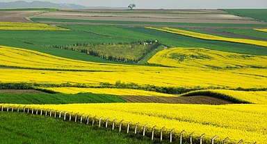 Trakya'da etkili olan ilkbahar yağışları kuraklık stresini azalttı