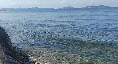 Türkiye Çevre Haftası 