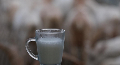 Türkiye'de 2022'de 21,6 milyon ton çiğ süt üretildi