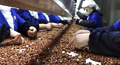 Türkiye fındık ihracatından 8 ayda 1,3 milyar doları aşkın gelir elde etti