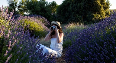 Türkiye’nin 4 Bir Yanında “Festivaller Başlıyor” 