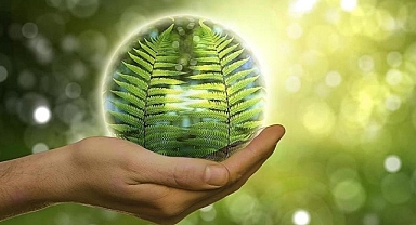 Türkiye'nin Yeşil Hidrojen Yolculuğu: Gelecek Fırsatlar ve Zorluklar 