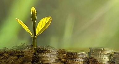 Türkiye Sınai Kalkınma Bankası, kredi sağlarken firmaların iklim reytingini de ölçüyor