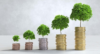 Türkiye Sınai Kalkınma Bankası, kredi sağlarken firmaların iklim reytingini de ölçüyor