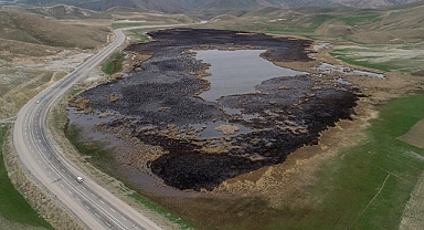 Van'daki sazlık yangınları üreme dönemindeki kuşların yaşam alanlarını daralttı