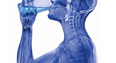 Yeteri Kadar Sıvı Tüketmemenin Yarattığı Bu Problemleri Okuduktan Sonra Damacanayı Kafanıza Dikmek İsteyeceksiniz: Dehidrasyon Nedir?