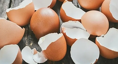 Yumurta kabuklarını çöpe atanlar yandı! 