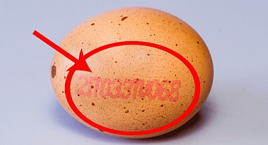 Yumurtaların üzerindeki numaralar bir uyarı! Peki hangi numara ne anlama geliyor?