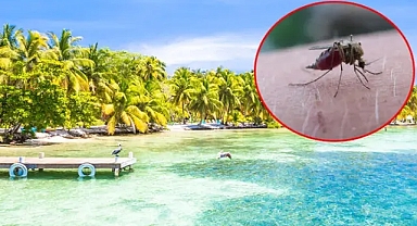 70 yılın ardından DSÖ'den karar çıktı!