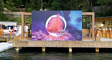 8 Haziran Marmara Denizi Günü’nde Denize +1 Nefes’le can bulan mercan resifleri canlı olarak izlendi 