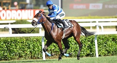 97. Gazi Koşusu'nu Urfa Aslanı kazandı