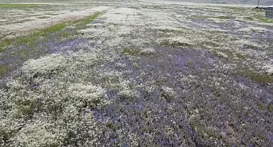 Ağrı Dağı etekleri, kartpostallık görüntüler oluşturdu