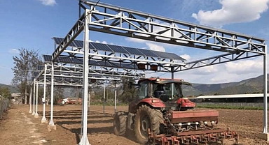 Agrivoltaik tarım nedir, çiftçilerin iklim değişikliğiyle başa çıkmasını kolaylaştırabilir mi? 