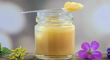 Arı Sütü Nedir? Faydaları Nelerdir? Kanser Tedavisine Arıdan Gelen Mucize