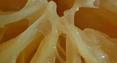 Avuç avuç dökülen saçlarınızı geri kazandırıyor!