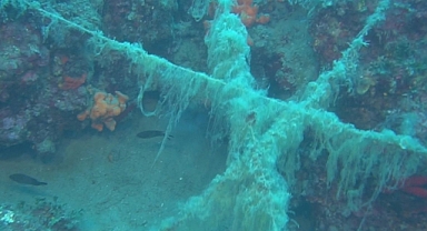 Ayvalık'ta doğal resifleri kaplayıp deniz canlılarını tehdit eden misinalar görüntülendi
