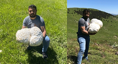 Bulduğunda kaya sandı, ne olduğunu anlayınca hayrete düştü!