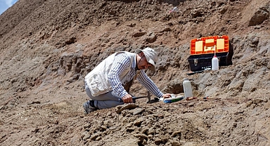 Çankırı'da dev gergedan fosiline ait yeni kemikler bulundu