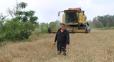 Çukurova'da buğday hasadı başladı