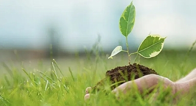 Dünya Çevre Günü 5 Haziran: Doğaya selam durma zamanı