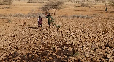 Dünyamız çok hasta !!!