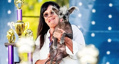 Dünyanın En Çirkin Köpeği sahibine 3 bin dolar kazandırdı