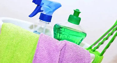 Evinizi pire mi bastı? İşte eviniz ve evcil dostunuz için doğal temizlik yöntemleri