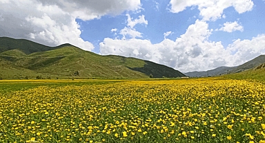 Güzeldere mendereslerinden kartpostallık görüntüler