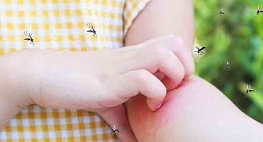 Her 5 çocuktan 1’inde alerji görülüyor 