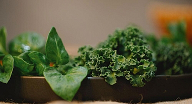 Her gün yiyen 20 yaşında gösteriyor!