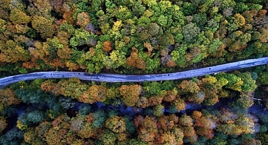 Her yıl ‘resmi izinle’ 40 bin hektar ormanlık alan yok ediliyor 
