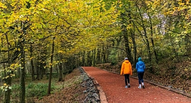İstanbul Valiliği duyurdu! Ormanlık alanlara girişler yasaklandı