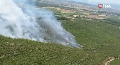 İzmir'de orman yangını 