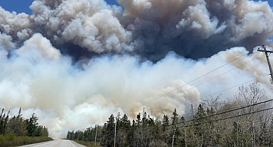Kanada'da etkisini sürdüren orman yangınlarında 3 milyon hektarlık alan zarar gördü