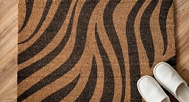 Kapı girişlerindeki paspasları temizlemenin en iyi yolu nedir?