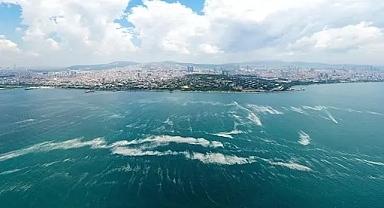 Katil yosunun yeni rotası Karadeniz olabilir