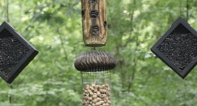 Kocaeli'deki doğal yaşam parkında kurulan istasyonda kuşlar halkalanıyor