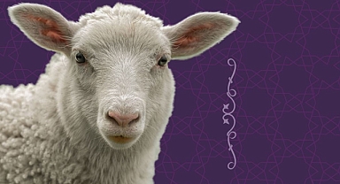 KURBAN TATİLİ KAÇ GÜN ? İŞTE DETAYLAR...